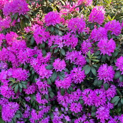 23-06-03 17-36-15 5829